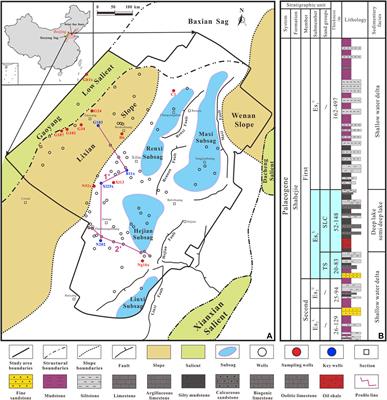 Influence of a Paleosedimentary Environment on Shale Oil Enrichment: A Case Study on the Shahejie Formation of Raoyang Sag, Bohai Bay Basin, China